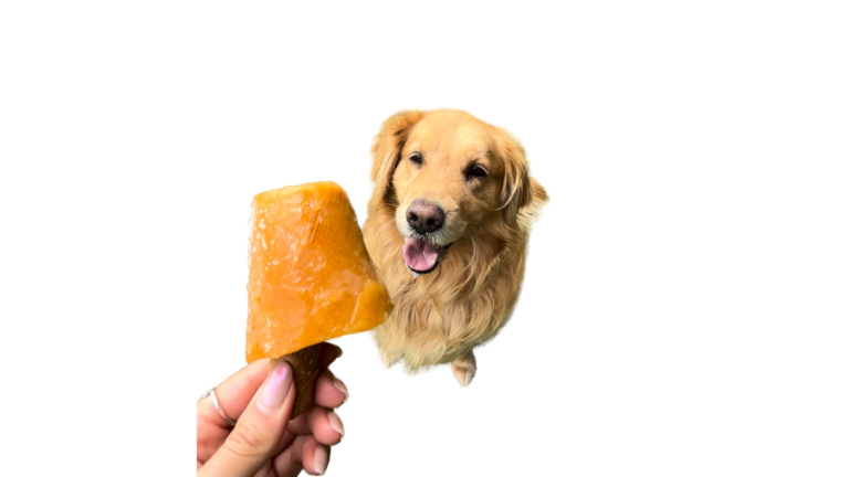 Diseño sin título (5)